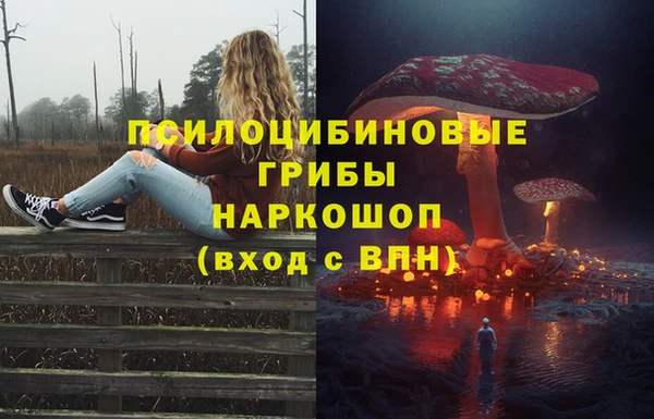 герыч Майский